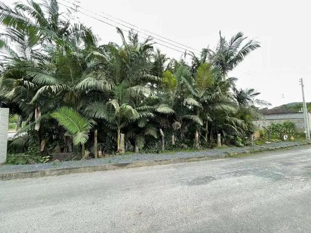 Terreno em Condomínio para Venda em Blumenau/SC Fortaleza