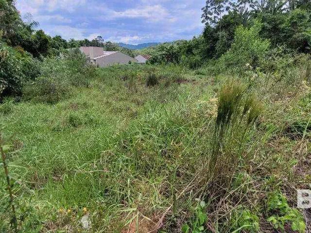 Terreno em Condomínio para Venda em Blumenau/SC Itoupava Central