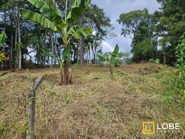 Terreno em Condomínio para Venda em Blumenau/SC Ponta Aguda
