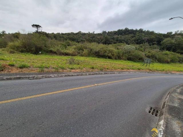 Terreno em Condomínio para Venda em Blumenau/SC Salto do Norte