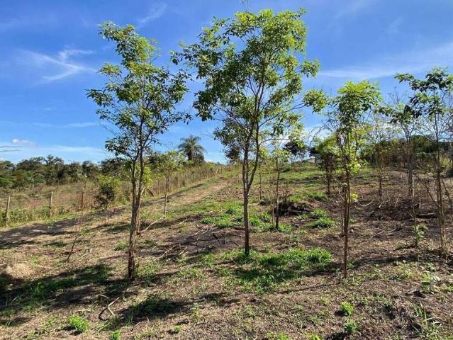 Terreno em Condomínio para Venda em Brumadinho/MG Condomínio Tiradentes