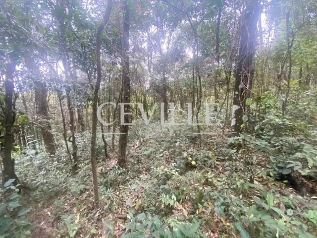 Terreno em Condomínio para Venda em Brumadinho/MG Casa Branca