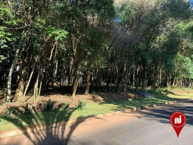 Terreno em Condomínio para Venda em Brumadinho/MG Centro