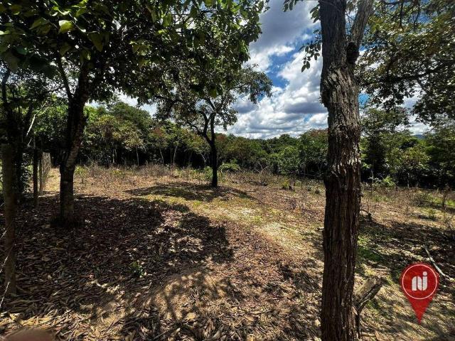 Terreno em Condomínio para Venda em Brumadinho/MG Aranha