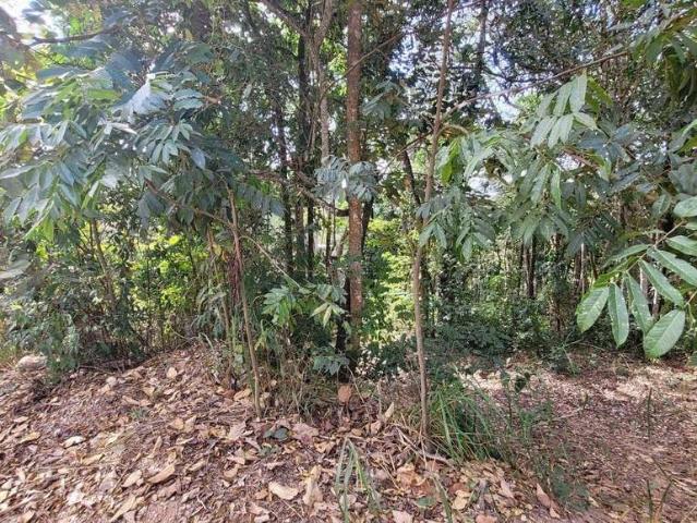 Terreno em Condomínio para Venda em Brumadinho/MG Retiro do Brumado
