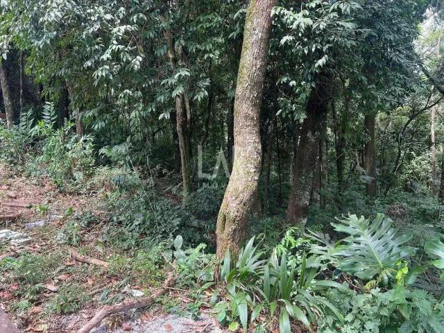 Terreno em Condomínio para Venda em Brumadinho/MG Retiro do Chalé