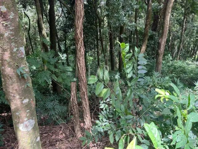 Terreno em Condomínio para Venda em Brumadinho/MG Retiro do Chalé