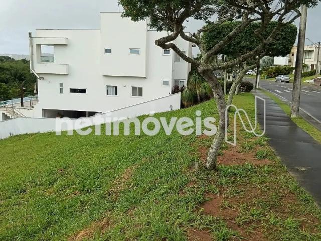 Terreno em Condomínio para Venda em Camaçari/BA Alphaville Abrantes