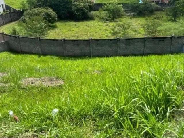 Terreno em Condomínio para Venda em Camaçari/BA Alphaville Abrantes