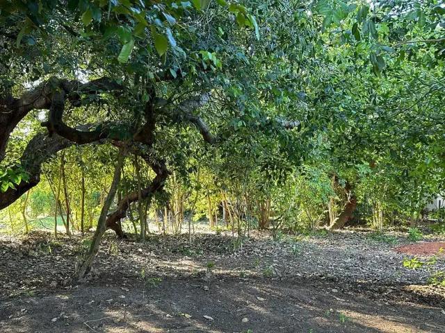 Terreno em Condomínio para Venda em Camaçari/BA Busca Vida