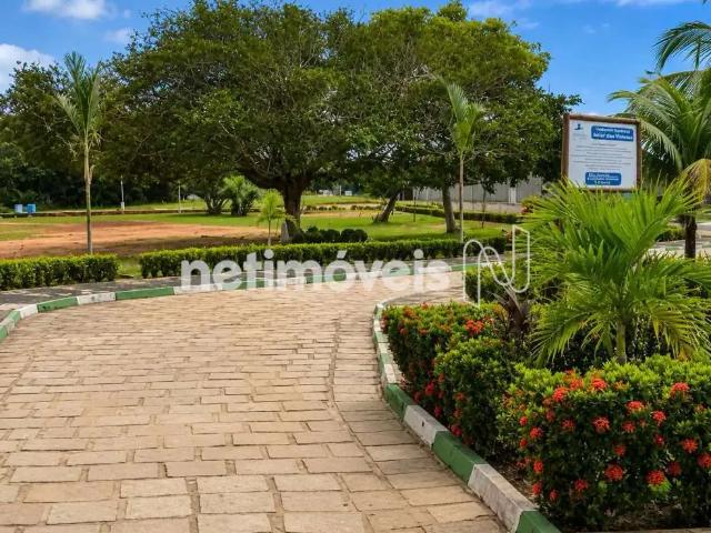 Terreno em Condomínio para Venda em Camaçari/BA Monte Gordo