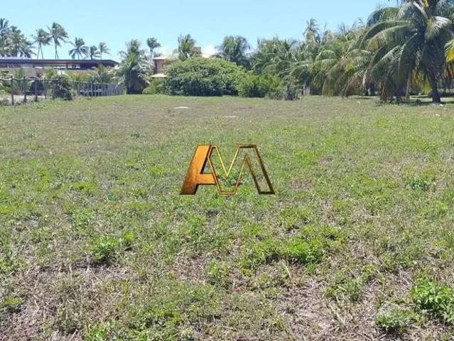 Terreno em Condomínio para Venda em Camaçari/BA Praia de Busca Vida