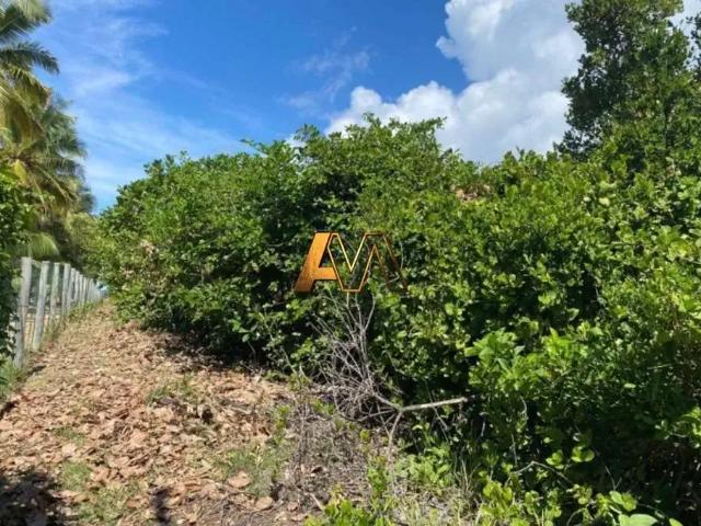 Terreno em Condomínio para Venda em Camaçari/BA Praia de Busca Vida