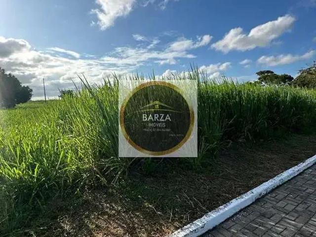 Terreno em Condomínio para Venda em Camaragibe/PE Aldeia dos Camarás