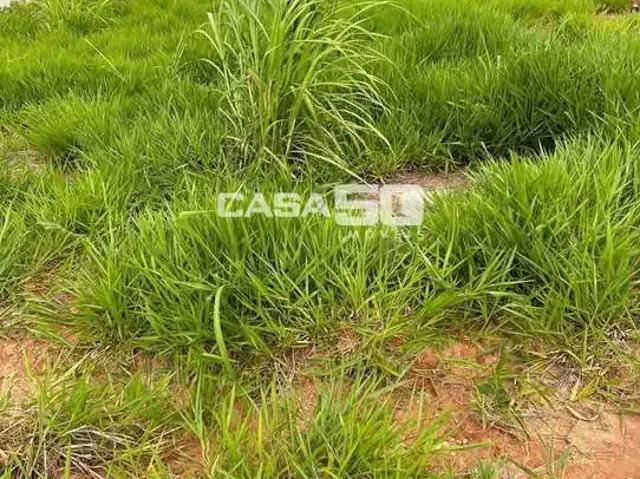 Terreno em Condomínio para Venda em Campinas/SP Jardim Madalena