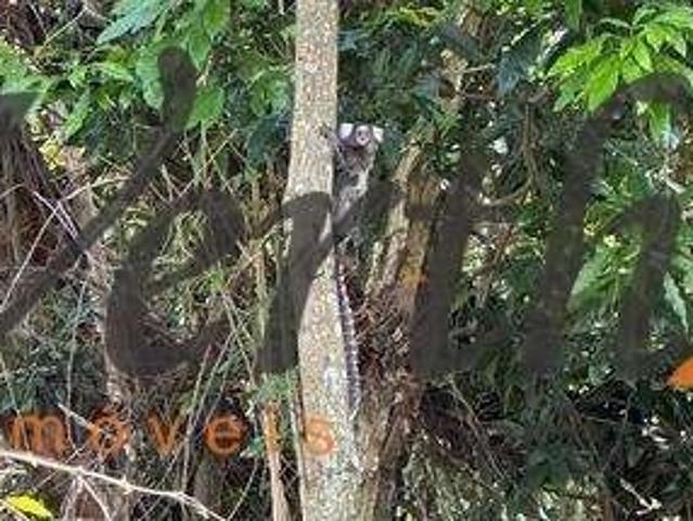 Terreno em Condomínio para Venda em Campinas/SP Loteamento Caminhos de San Conrado Sousas