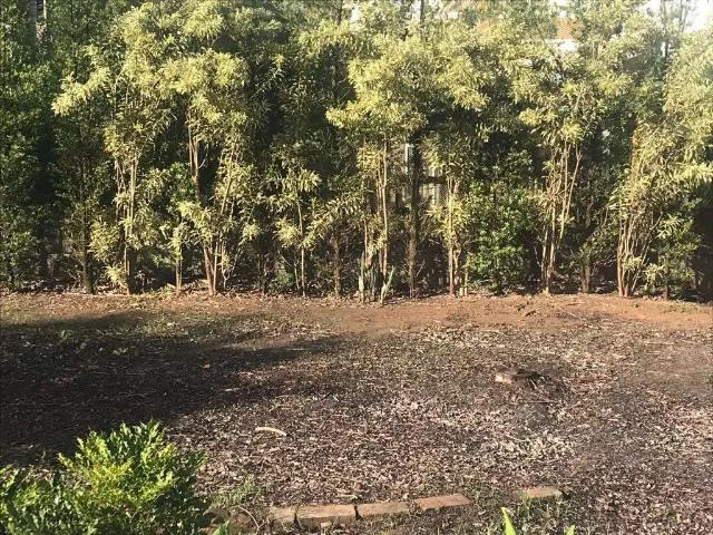 Terreno em Condomínio para Venda em Campinas/SP Loteamento Caminhos de San Conrado Sousas