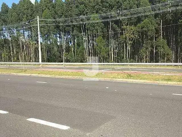 Terreno em Condomínio para Venda em Campinas/SP Loteamento Caminhos de San Conrado Sousas