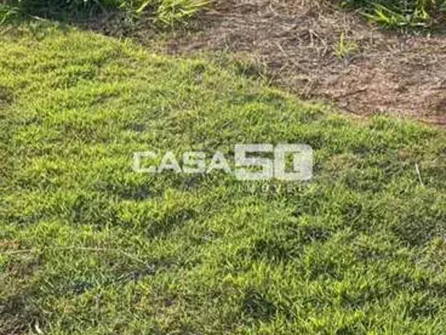 Terreno em Condomínio para Venda em Campinas/SP Loteamento Alphaville Campinas