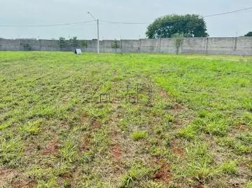 Terreno em Condomínio para Venda em Campinas/SP Loteamento Alphaville Campinas