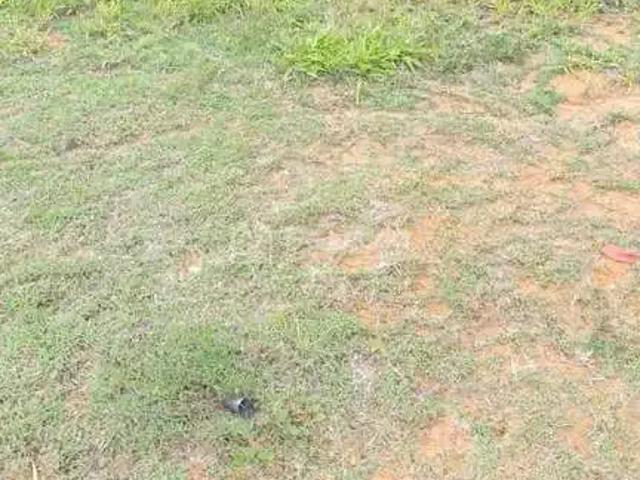 Terreno em Condomínio para Venda em Campinas/SP Loteamento Residencial Arborais