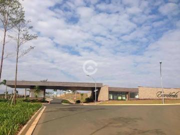 Terreno em Condomínio para Venda em Campinas/SP Loteamento Residencial Entre Verdes Sousas