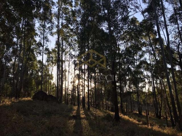 Terreno em Condomínio para Venda em Campinas/SP Sousas