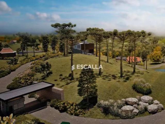 Terreno em Condomínio para Venda em Campo Alegre/SC Centro