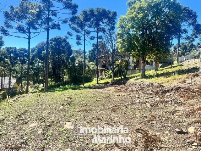 Terreno em Condomínio para Venda em Campo Alegre/SC Centro