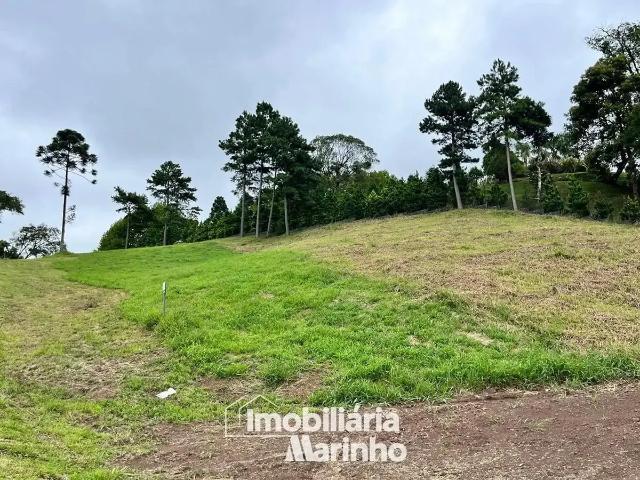 Terreno em Condomínio para Venda em Campo Alegre/SC Saltinho
