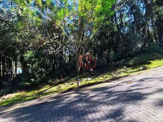 Terreno em Condomínio para Venda em Canela/RS Pinheiro Grosso