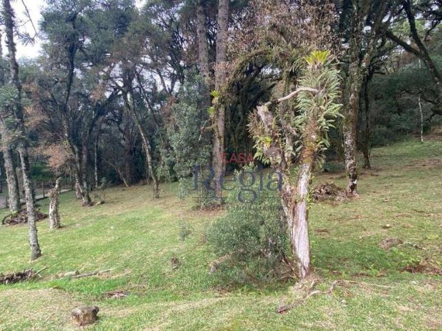 Terreno em Condomínio para Venda em Canela/RS Centro