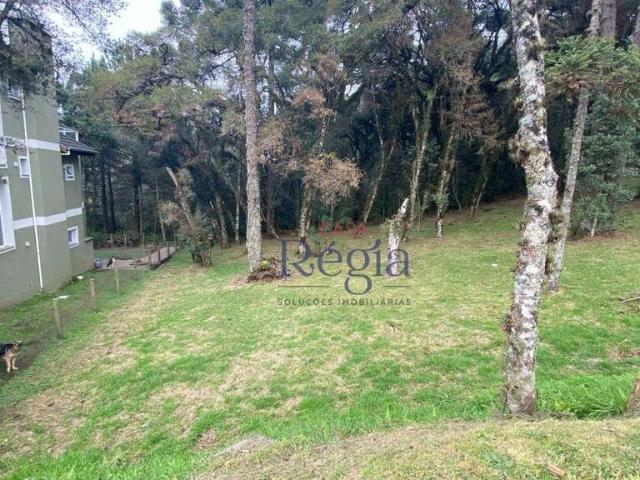 Terreno em Condomínio para Venda em Canela/RS Centro