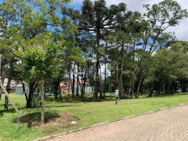 Terreno em Condomínio para Venda em Canela/RS Centro