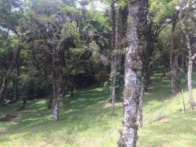 Terreno em Condomínio para Venda em Canela/RS Centro
