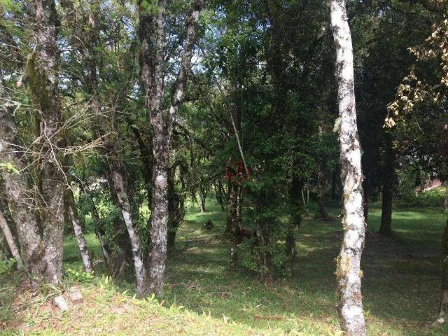 Terreno em Condomínio para Venda em Canela/RS Centro