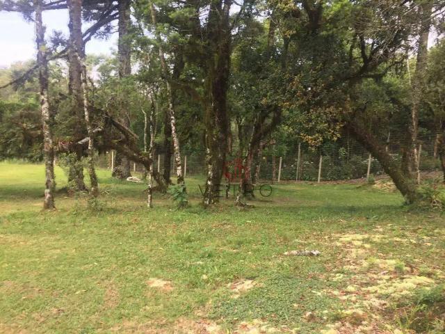 Terreno em Condomínio para Venda em Canela/RS Centro