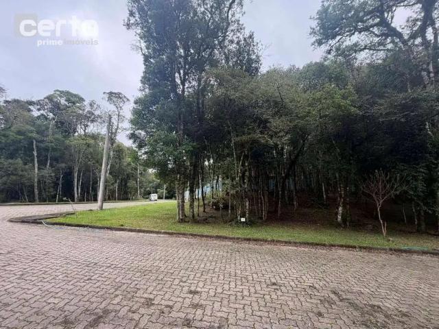 Terreno em Condomínio para Venda em Canela/RS Jardim Mariana