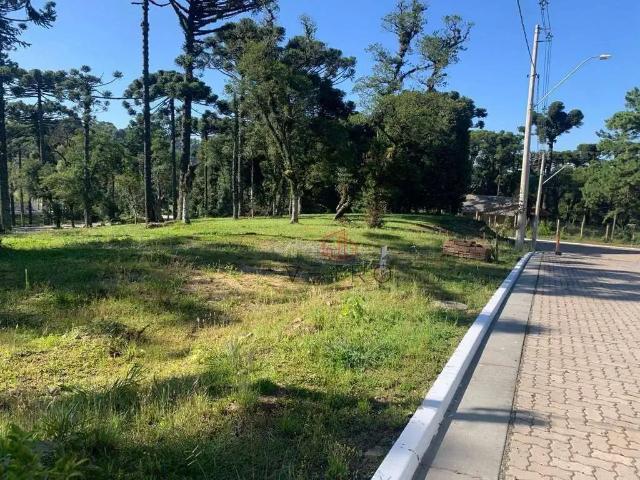 Terreno em Condomínio para Venda em Canela/RS Jardim Mariana