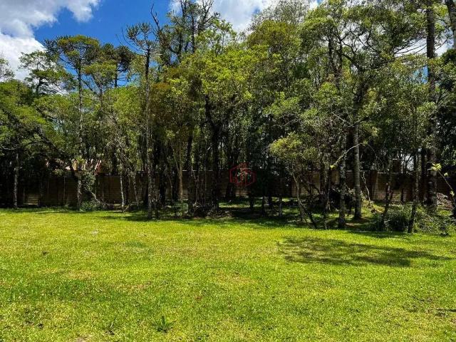 Terreno em Condomínio para Venda em Canela/RS Jardim Mariana