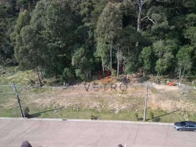 Terreno em Condomínio para Venda em Canela/RS Leodoro de Azevedo
