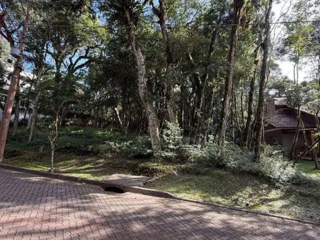 Terreno em Condomínio para Venda em Canela/RS Pinheiro Grosso