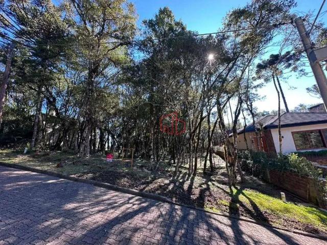 Terreno em Condomínio para Venda em Canela/RS Parque Pinheiro Grosso