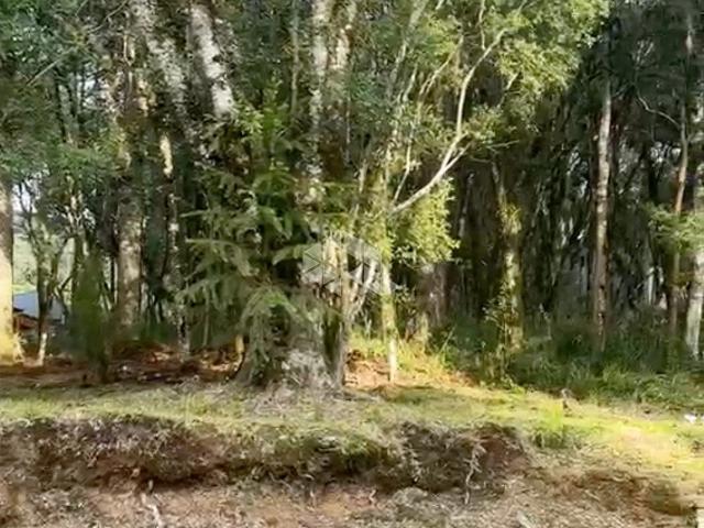 Terreno em Condomínio para Venda em Canela/RS Pinheiro Grosso