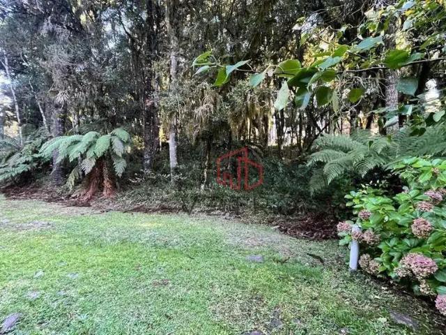 Terreno em Condomínio para Venda em Canela/RS Pinheiro Grosso
