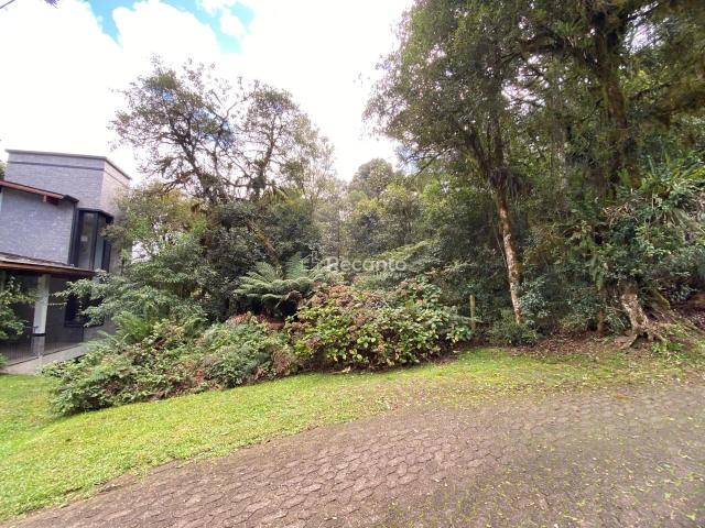 Terreno em Condomínio para Venda em Canela/RS Quinta da Serra