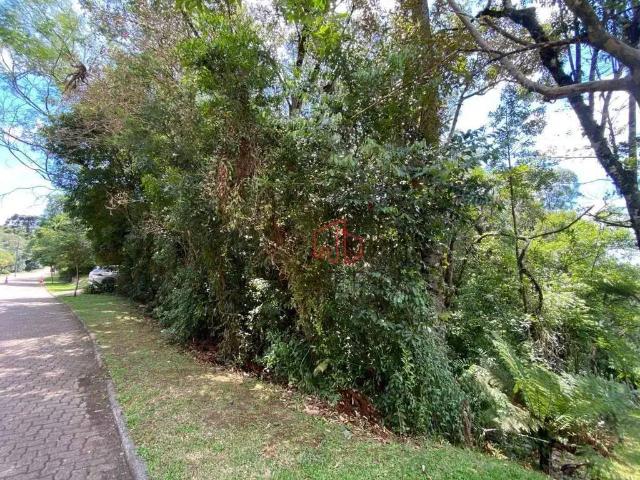 Terreno em Condomínio para Venda em Canela/RS Reserva da Serra