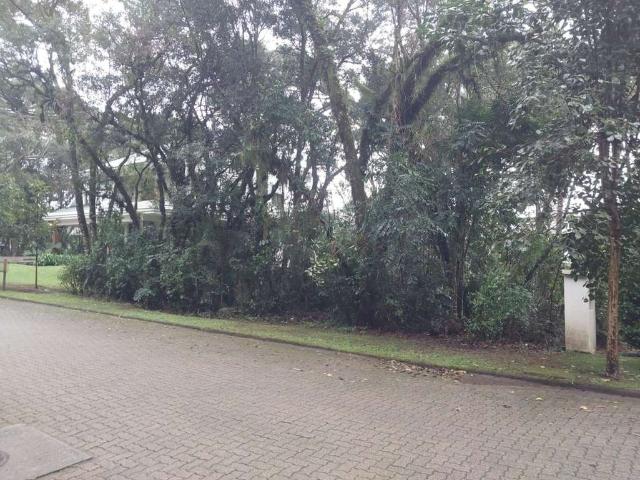 Terreno em Condomínio para Venda em Canela/RS Reserva da Serra