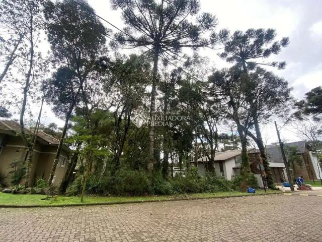 Terreno em Condomínio para Venda em Canela/RS Reserva da Serra