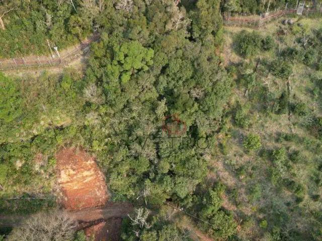 Terreno em Condomínio para Venda em Canela/RS Reserva da Serra